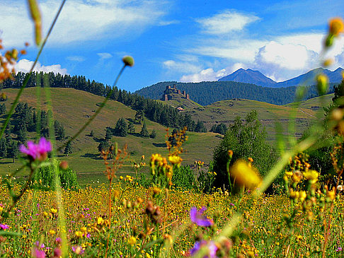 Omalos-Hochebene Foto 