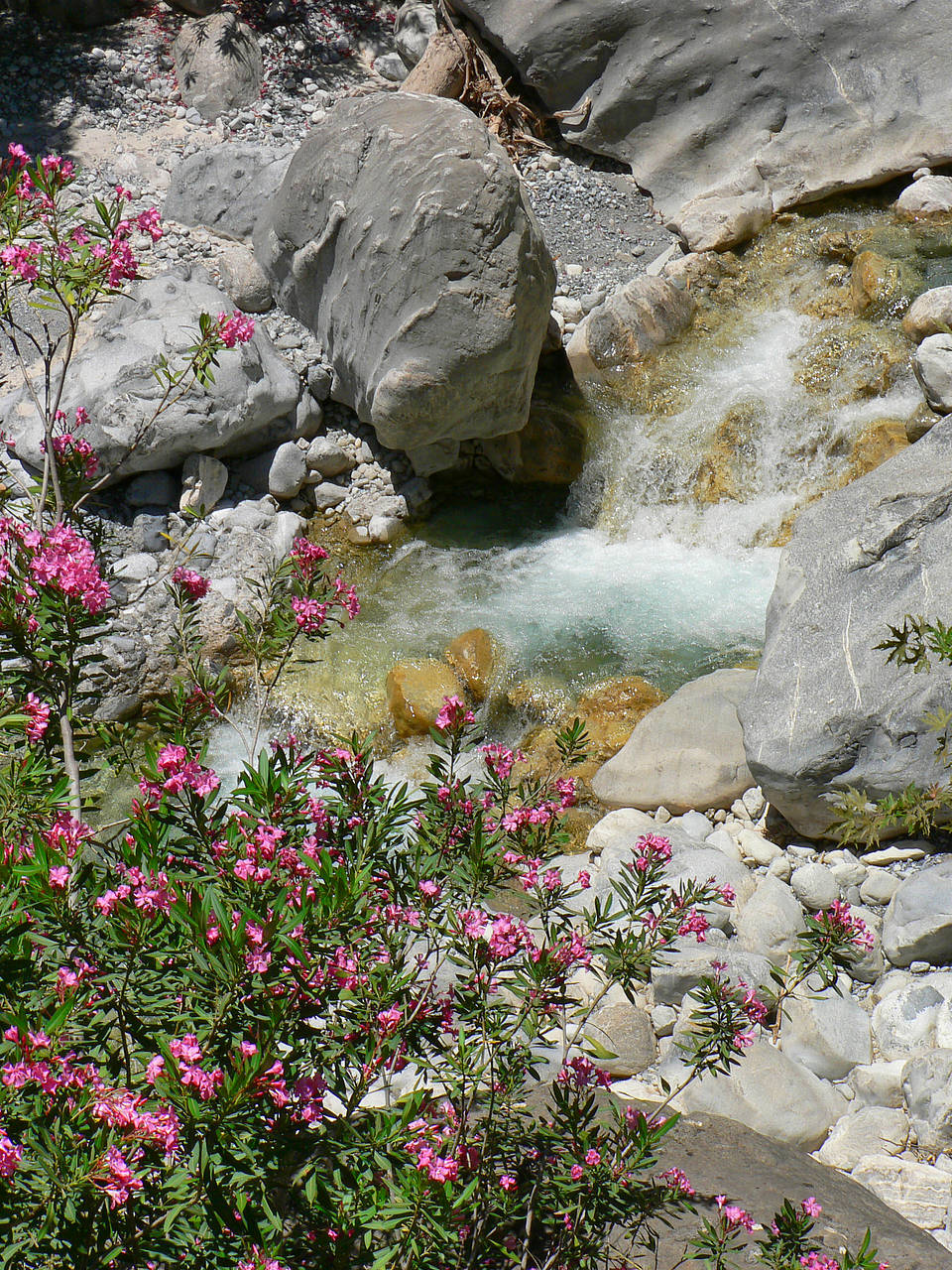 Fotos Samaria-Schlucht | 