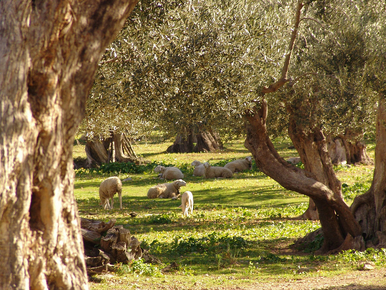 Wetter auf Kreta